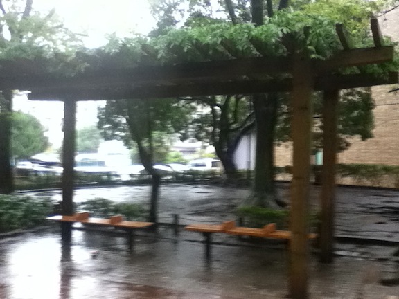 小松川境川親水公園03