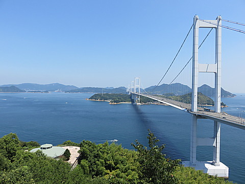 IMG_4466.jpg