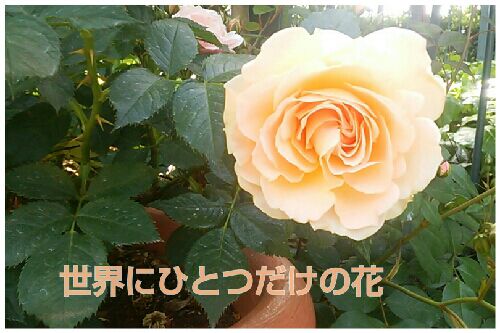 rblog-20160526200036-00.jpg