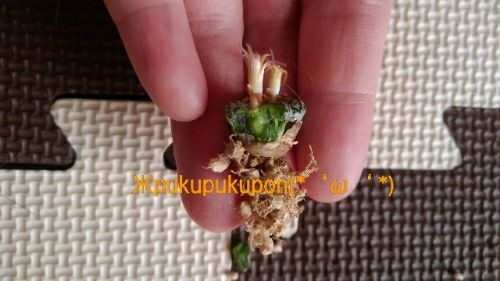 rblog-20171106120229-00.jpg