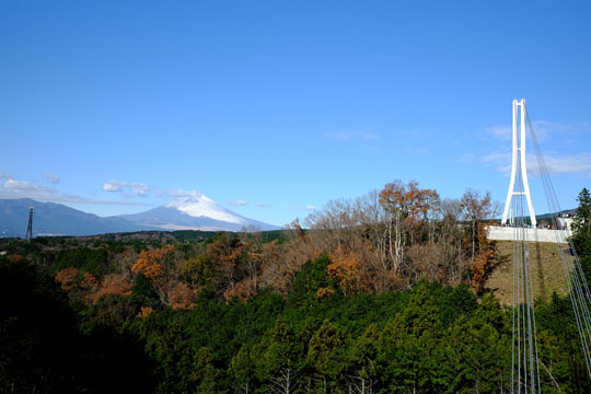 DSCF1262.jpg