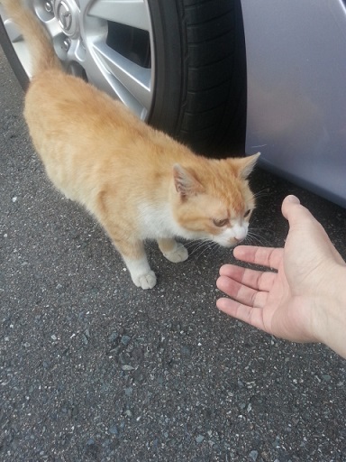 20140414_174515.jpg