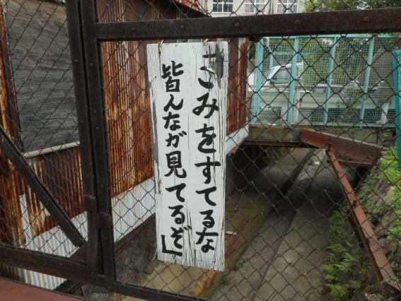 DSCN8153.JPG