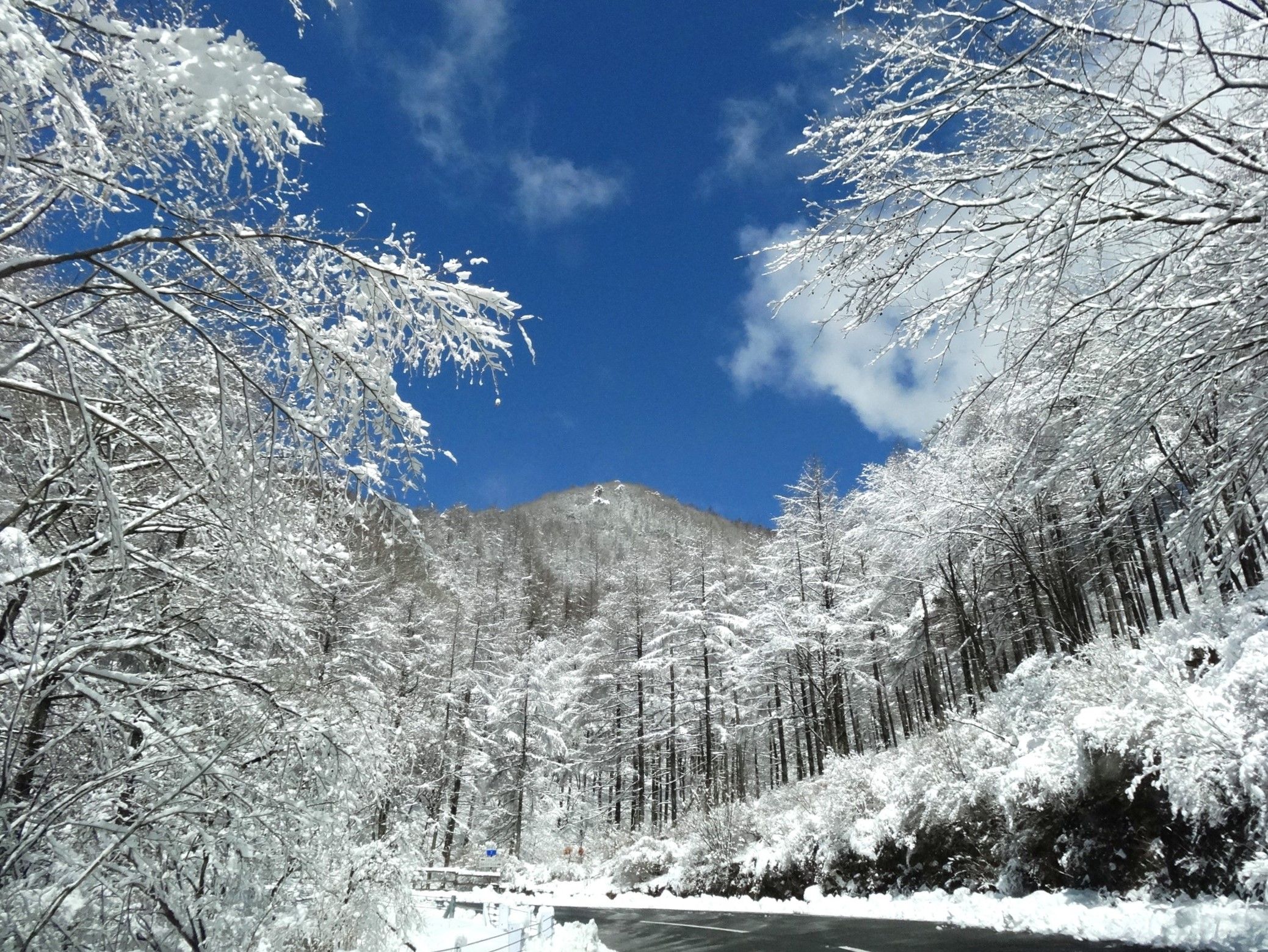 スーツ特別割引クーポン 車窓から撮影した❝絶景の雪景色❞ 2020年4月14日 山と | 絵画