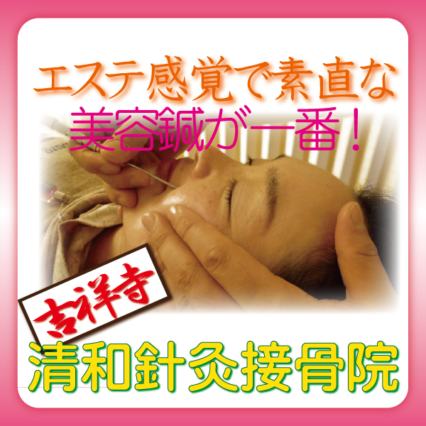 武蔵小金井で美顔鍼を探すなら吉祥寺の清和針灸接骨院rakuten01