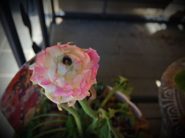 rblog-20150227215758-00.jpg