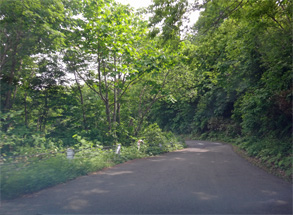 夏油5.jpg