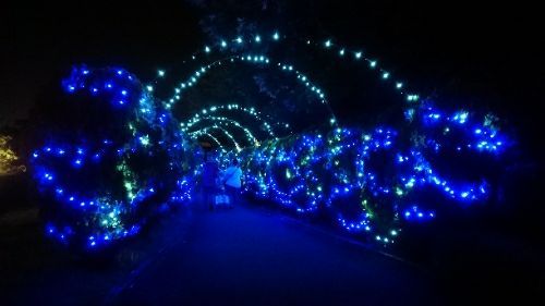 rblog-20170820213904-04.jpg