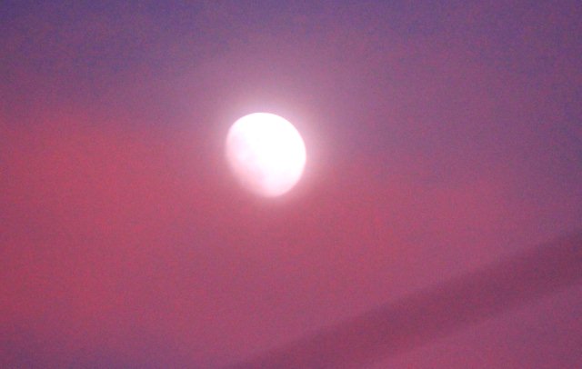 月と夕焼け.jpg