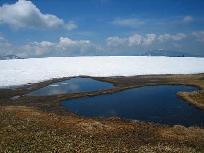 一部　地糖が表れていた