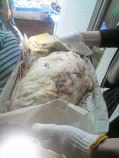 2012050412540000.jpg