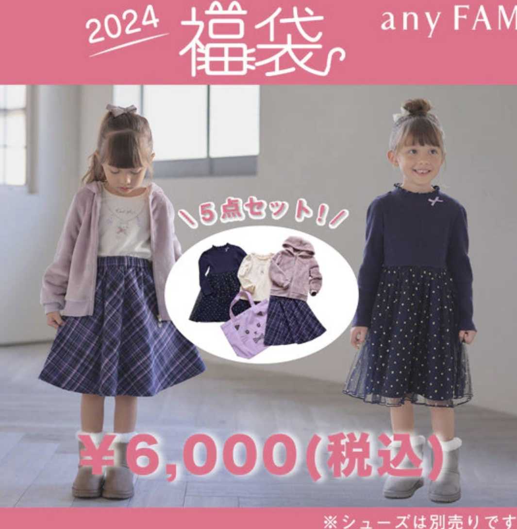 追記あり【購入品】と、12/1から福袋予約スタートany FAM | うちはうち 