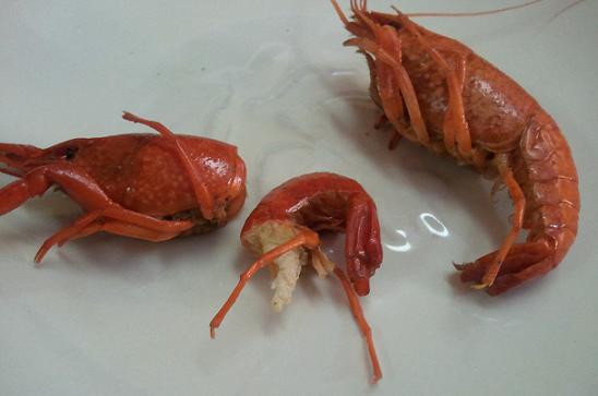2012-03-26 18.34.12.jpg