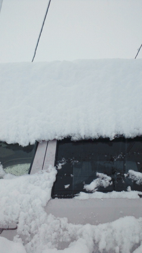 NEC_0024.JPG