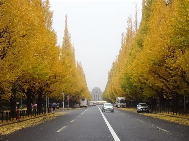 DSC07787_R.JPG