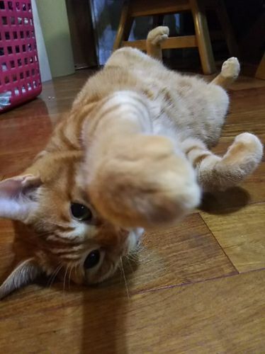 rblog-20180924214909-02.jpg