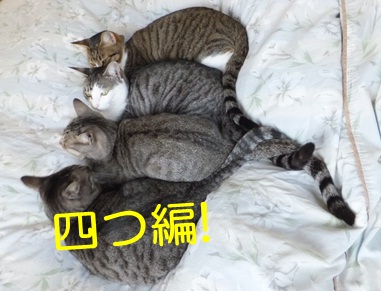 20121117_3.jpg
