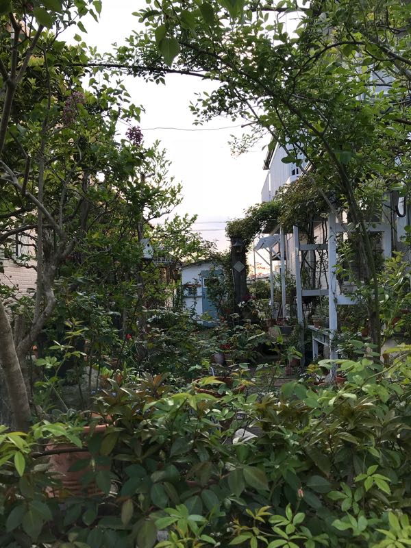 rblog-20180408181337-05.jpg