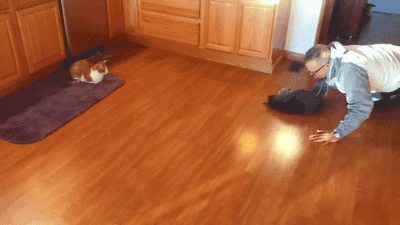tumblr_nuk9s4BfbZ1tm0lv8o1_400.gif