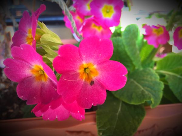 rblog-20160225162138-01.jpg