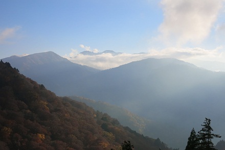 IMG_7987.jpg