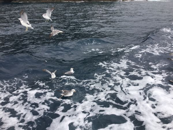 rblog-20160904172556-04.jpg