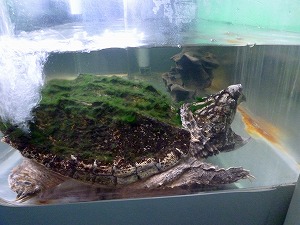 20141129(13).jpg