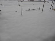 20160120-1.jpg