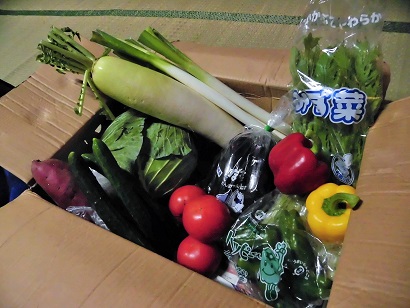 野菜の箱２
