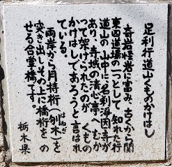 1639味野公園・足利行道山くものかけはし.JPG