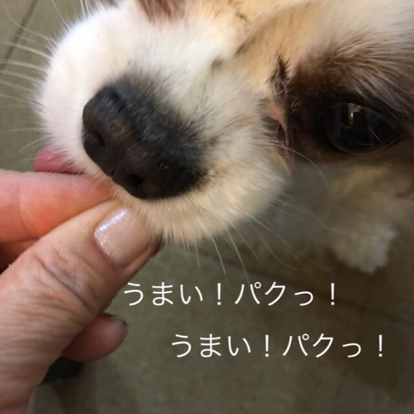 rblog-20170804205322-05.jpg