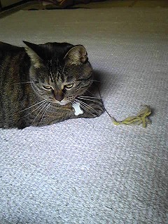 121227_094304.jpg