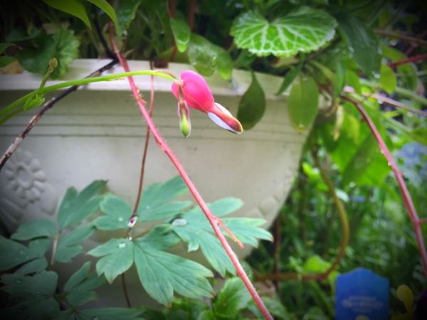 rblog-20160428173823-03.jpg