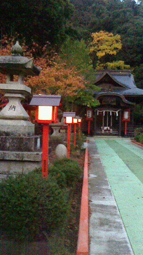 NEC_0469.JPG