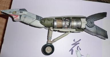 CIMG3467.JPG