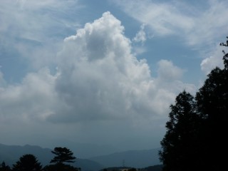 66.jpg