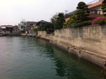 iwagi07.jpg