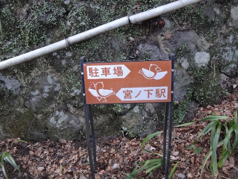 DSC03572.JPG