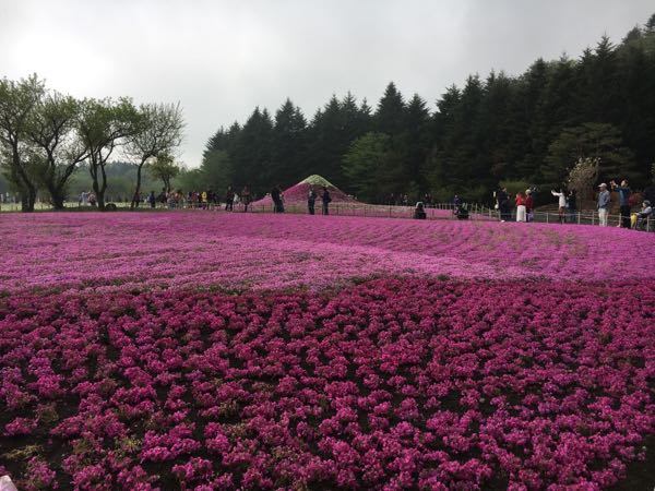 rblog-20170516141537-01.jpg