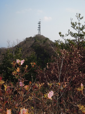 DSCN2646s.jpg