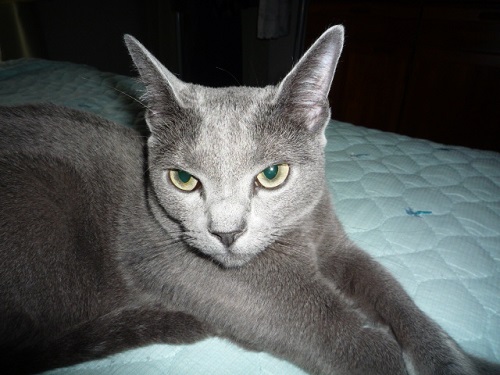 P1240359 - コピー.JPG