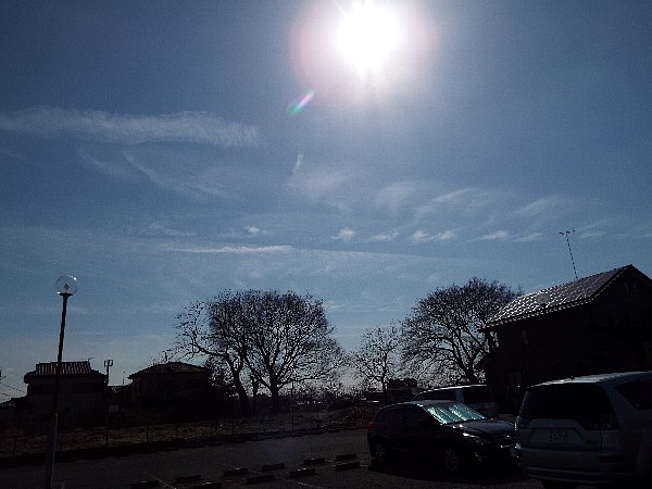 2016-02-18-kohakutyou-173-b.jpg