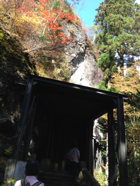 20121029harunajinjasandou3.jpeg