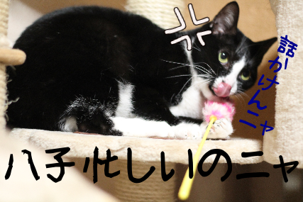 IMG_1164.png