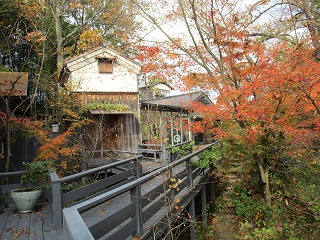 IMG_3867ss.jpg