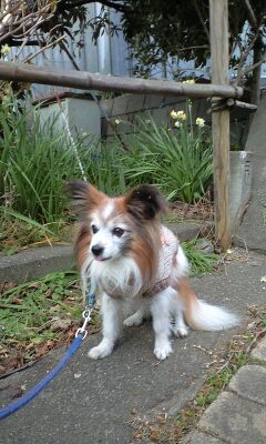 2012-02-01 00:12:07