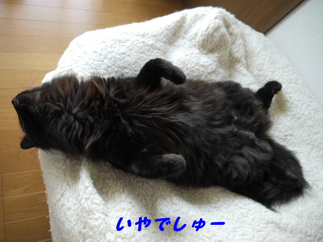 P1250492.JPG
