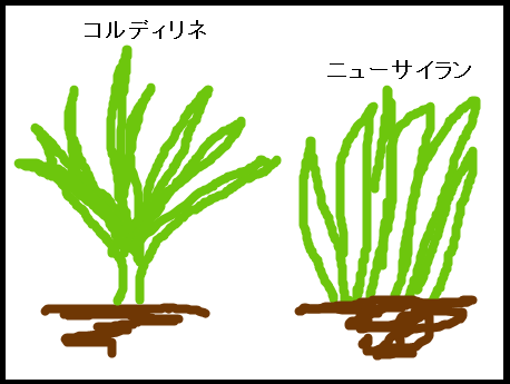 ニューサイラン.png