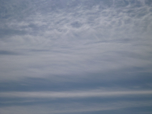 P1080415(1).JPG