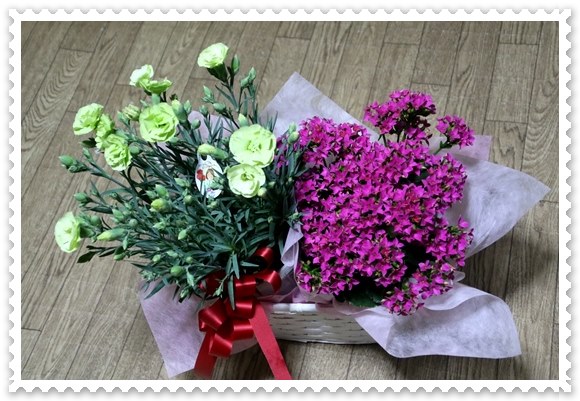 次男からのプレゼント 16.5.8